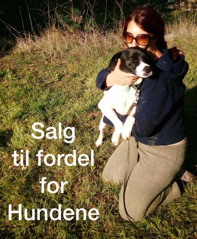 Salg til fordel for hundene